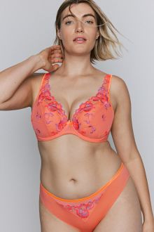 Devdaha sunset blush